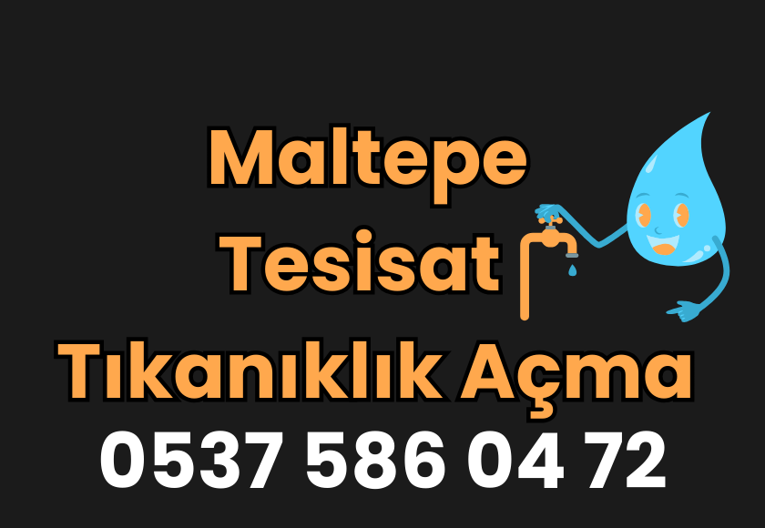 Hizmet Galerisi